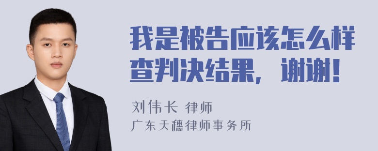 我是被告应该怎么样查判决结果，谢谢！