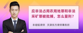 应非法占用农用地罪和非法采矿罪被批捕，怎么量刑？