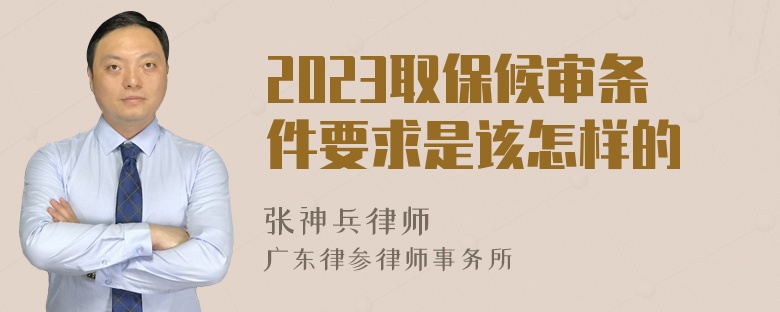 2023取保候审条件要求是该怎样的