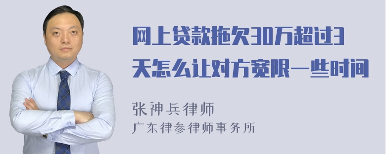 网上贷款拖欠30万超过3天怎么让对方宽限一些时间