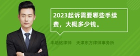 2023起诉需要哪些手续费，大概多少钱。