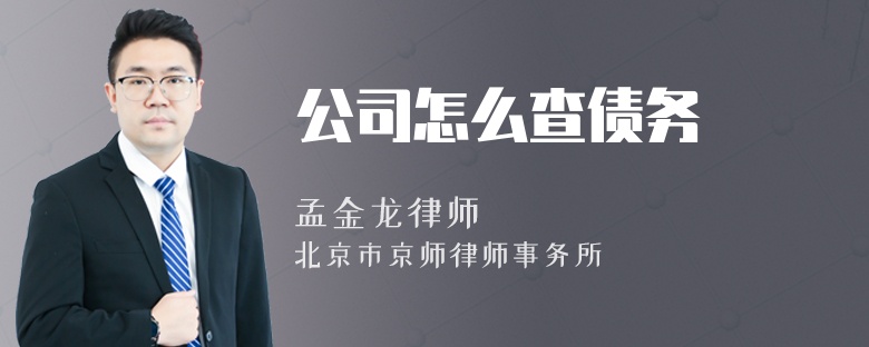 公司怎么查债务