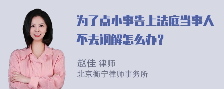 为了点小事告上法庭当事人不去调解怎么办？