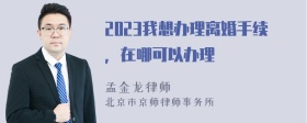 2023我想办理离婚手续，在哪可以办理