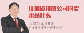 注册碳排放公司的要求是什么