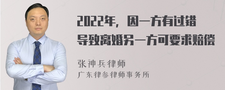 2022年，因一方有过错导致离婚另一方可要求赔偿