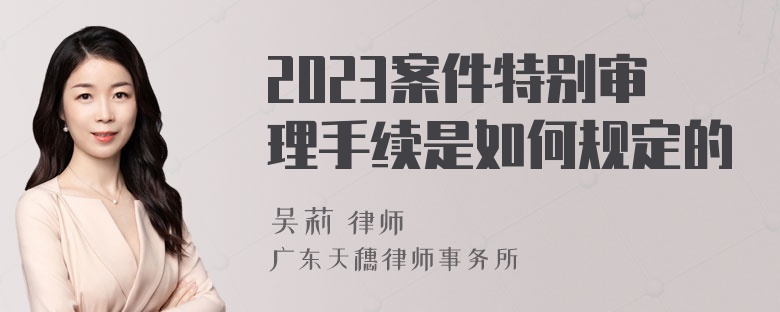 2023案件特别审理手续是如何规定的