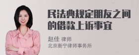 民法典规定朋友之间的借款上诉事宜