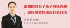 离婚时放弃了孩子的抚养权，现在想要回来有什么办法