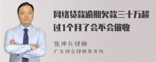 网络贷款逾期欠款三十万超过1个月了会不会催收