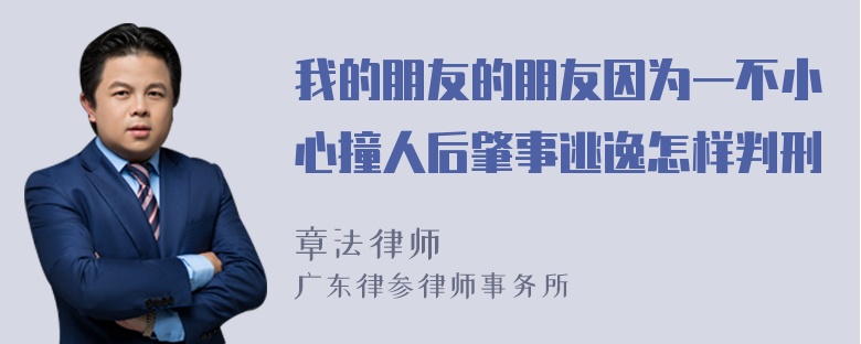 我的朋友的朋友因为一不小心撞人后肇事逃逸怎样判刑