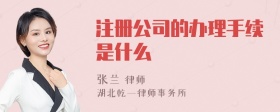 注册公司的办理手续是什么