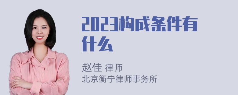 2023构成条件有什么