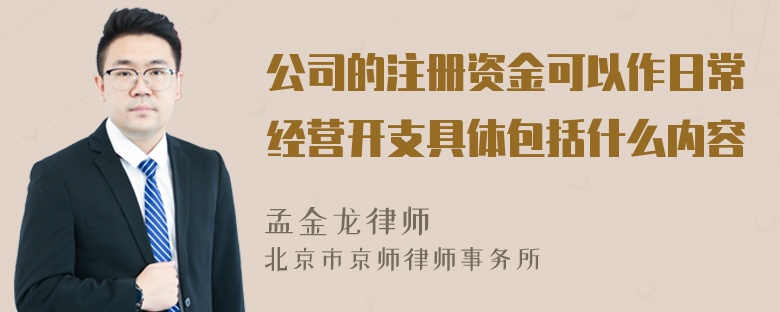 公司的注册资金可以作日常经营开支具体包括什么内容