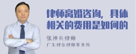 律师离婚咨询，具体相关的费用是如何的