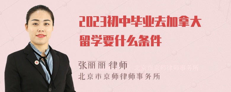 2023初中毕业去加拿大留学要什么条件