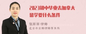 2023初中毕业去加拿大留学要什么条件