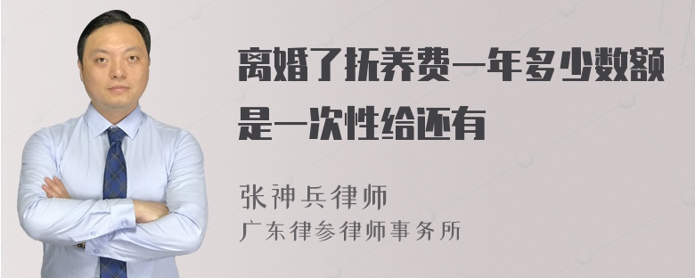 离婚了抚养费一年多少数额是一次性给还有