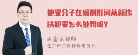 犯罪分子在缓刑期间从新违法犯罪怎么处罚呢？