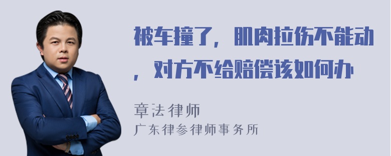 被车撞了，肌肉拉伤不能动，对方不给赔偿该如何办