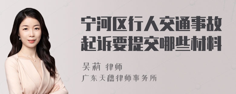 宁河区行人交通事故起诉要提交哪些材料