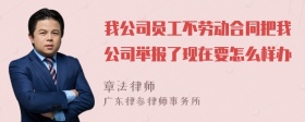 我公司员工不劳动合同把我公司举报了现在要怎么样办