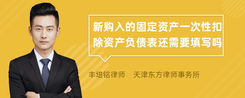 新购入的固定资产一次性扣除资产负债表还需要填写吗