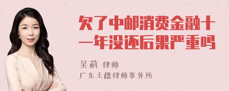 欠了中邮消费金融十一年没还后果严重吗