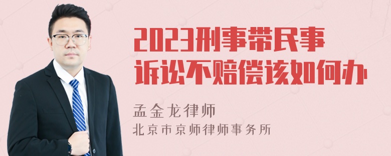 2023刑事带民事诉讼不赔偿该如何办