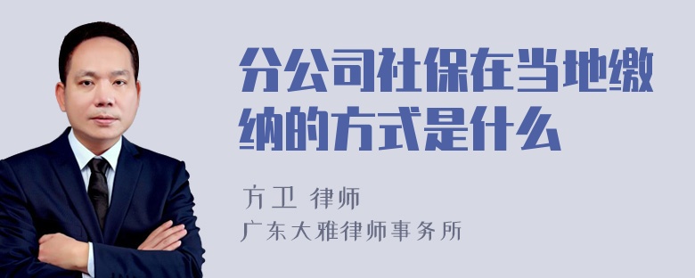 分公司社保在当地缴纳的方式是什么