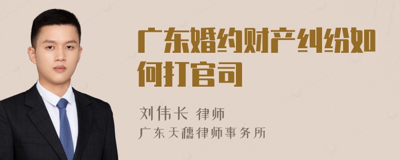 广东婚约财产纠纷如何打官司