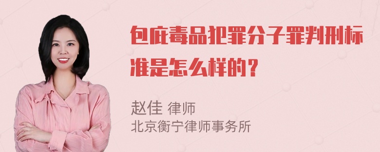 包庇毒品犯罪分子罪判刑标准是怎么样的？