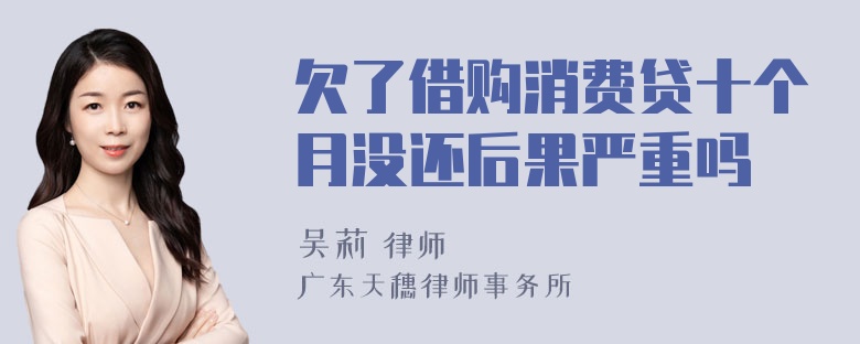 欠了借购消费贷十个月没还后果严重吗