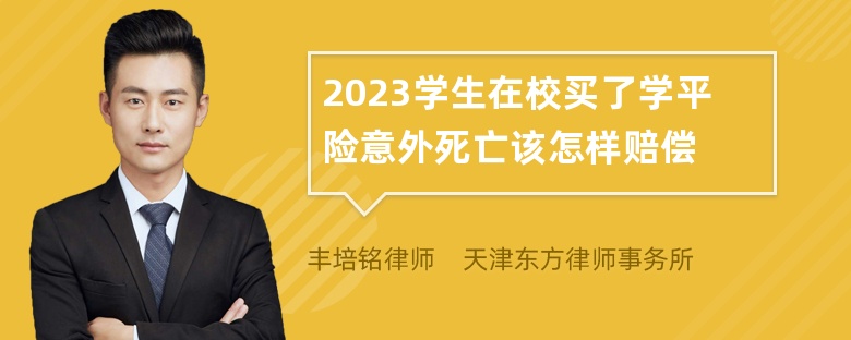 2023学生在校买了学平险意外死亡该怎样赔偿