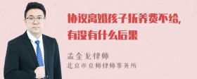 协议离婚孩子抚养费不给，有没有什么后果