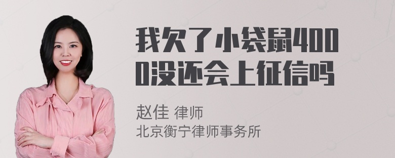 我欠了小袋鼠4000没还会上征信吗