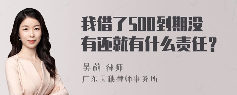 我借了500到期没有还就有什么责任？