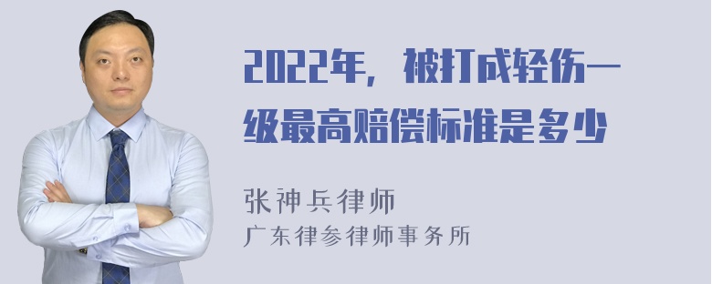 2022年，被打成轻伤一级最高赔偿标准是多少