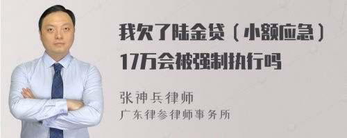 我欠了陆金贷（小额应急）17万会被强制执行吗