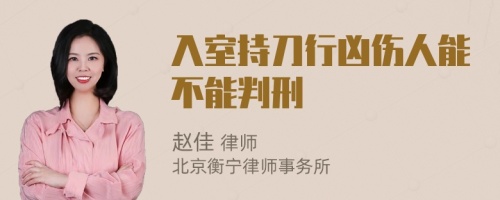 入室持刀行凶伤人能不能判刑