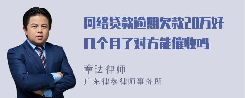 网络贷款逾期欠款20万好几个月了对方能催收吗