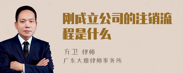 刚成立公司的注销流程是什么