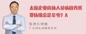 太原企业离休人员病故丧葬费抚恤金是多少？A