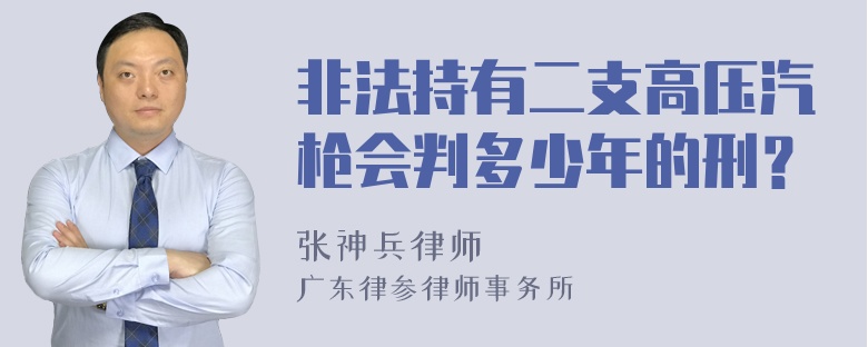 非法持有二支高压汽枪会判多少年的刑？