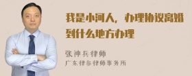 我是小河人，办理协议离婚到什么地方办理