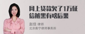 网上贷款欠了1万征信被黑有啥后果