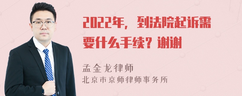 2022年，到法院起诉需要什么手续？谢谢