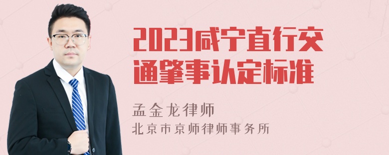 2023咸宁直行交通肇事认定标准