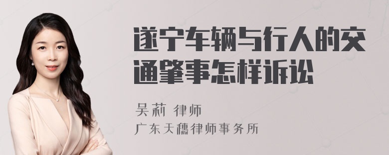 遂宁车辆与行人的交通肇事怎样诉讼