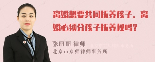 离婚想要共同抚养孩子。离婚必须分孩子抚养权吗？